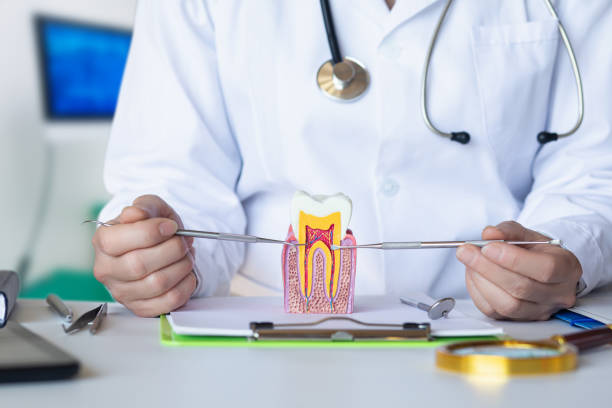 Best Urgent Tooth Repair  in Llano, TX